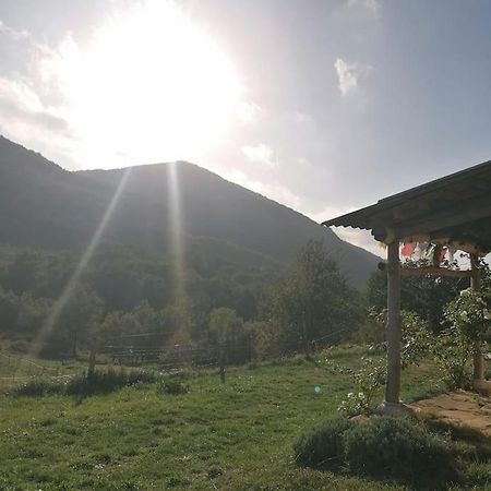 Bright Loft With Mountain And Nature View Sougraigne Екстериор снимка